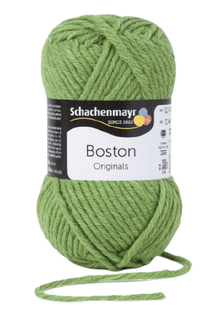 Boston kolor zielony 00071 (1)